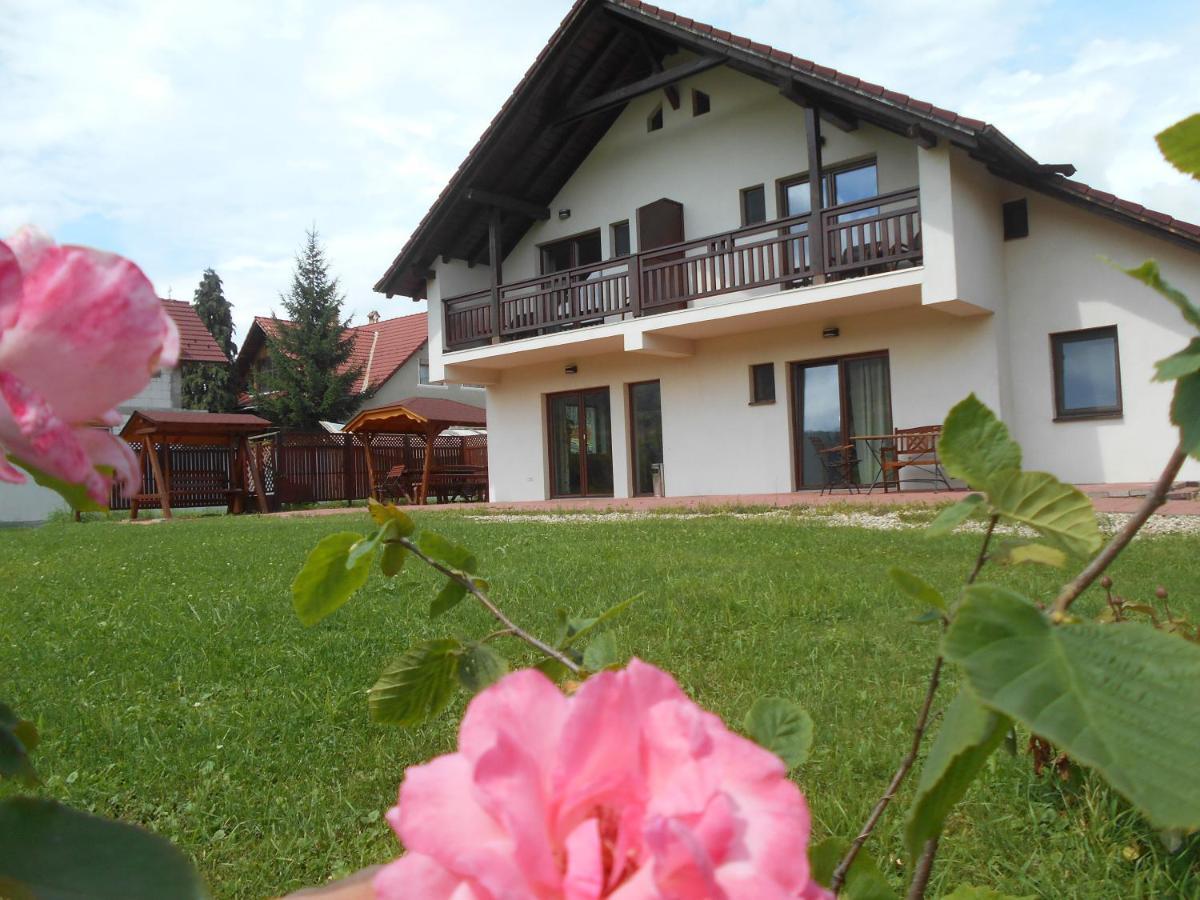 Hotel Casa Rudi & Ella Sălişte Exterior foto
